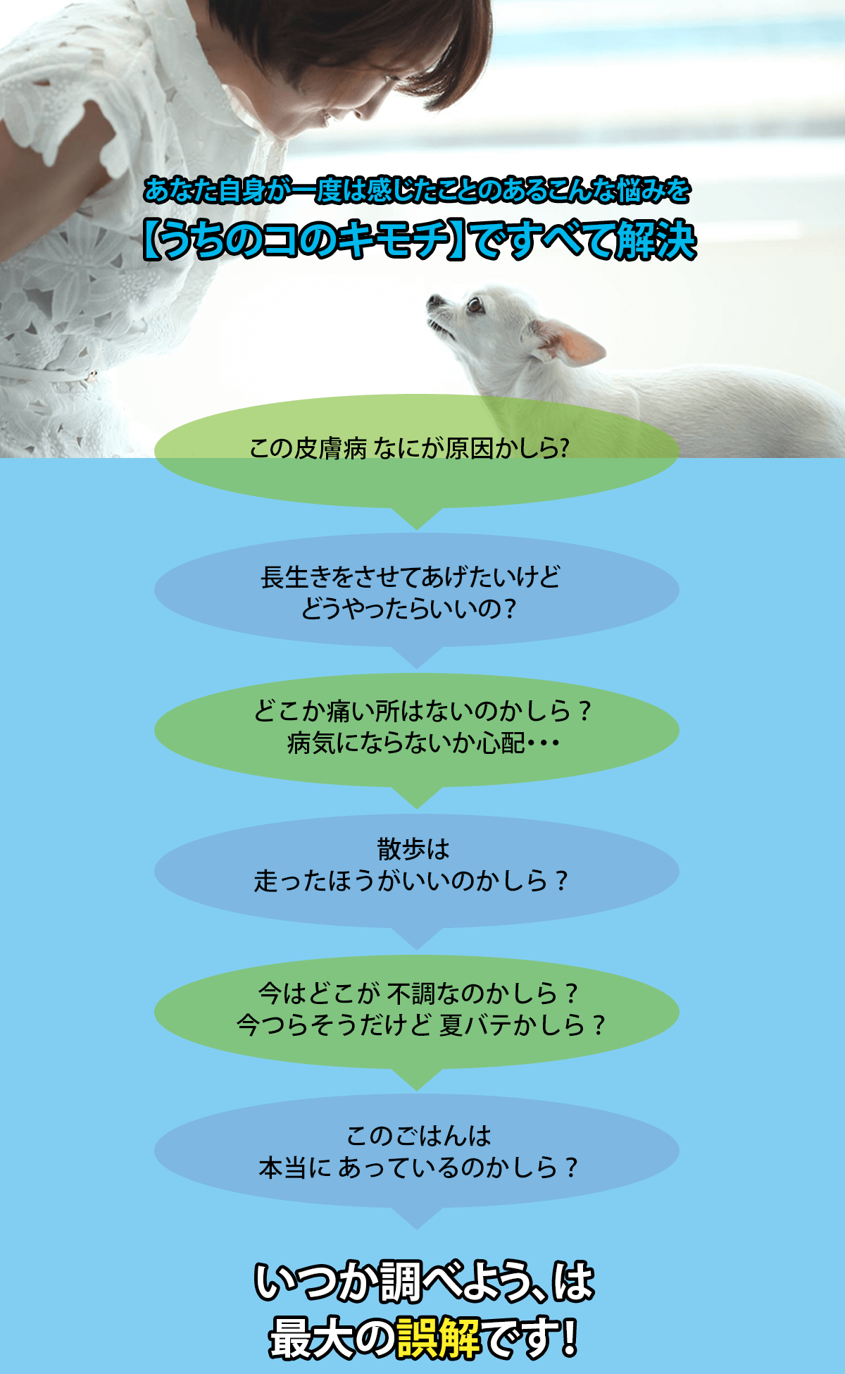 この皮膚病 なにが原因かしら?、長生きをさせてあげたいけどどうやったらいいの？、、、あなた自身が一度は感じたことのあるこんな悩みを【うちのコのキモチ】ですべて解決！