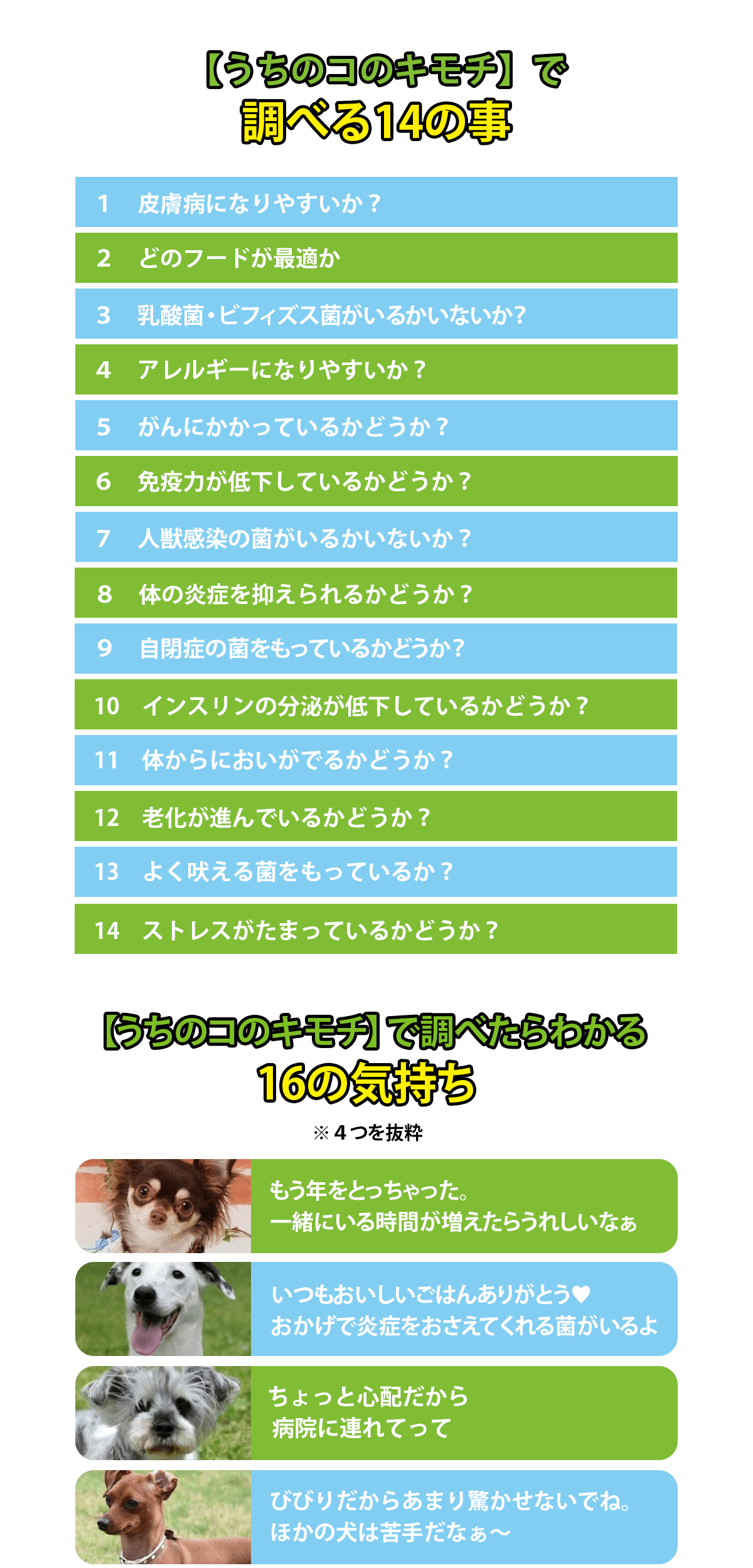 【うちのコのキモチ】で調べる14の事。、１　皮膚病になりやすいか？、２　どのフードが最適か？、３　乳酸菌・ビフィズス菌がいるかいないか？、４　アレルギーになりやすいか？、５　がんにかかっているかどうか？、６　免疫力が低下しているかどうか？、７　人獣感染の菌がいるかいないか？、８　体の炎症を抑えられるかどうか？、９　自閉症の菌をもっているかどうか？、10　インスリンの分泌が低下しているかどうか？、11　体からにおいがでるかどうか？、12　老化が進んでいるかどうか？、13　よく吠える菌をもっているか？、14　ストレスがたまっているかどうか？