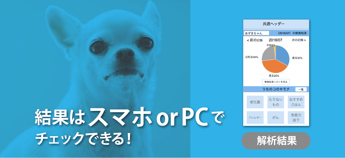 結果は スマホ or PC でチェックできる！